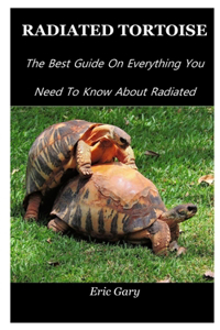 Radiated Tortoise