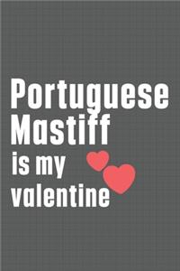 Portuguese Mastiff is my valentine