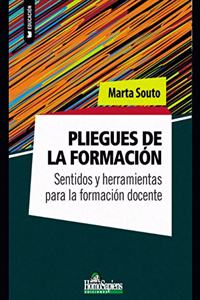 Pliegues de la formación