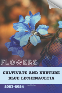 Cultivate and Nurture Blue Lechenaultia