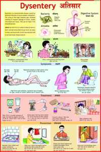 Dysentry Chart