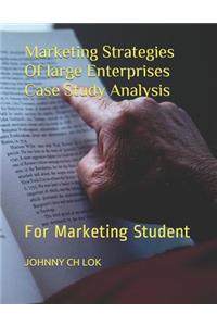 Marketing Strategies Of large Enterprises Case Study Analysis