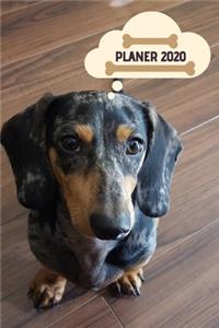 Planer 2020