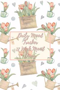 Daily Mood Tracker 12 Week Mood Diary