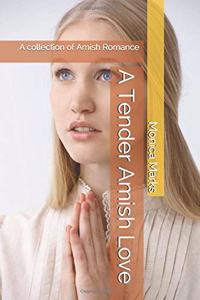 A Tender Amish Love