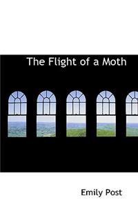 The Flight of a Moth