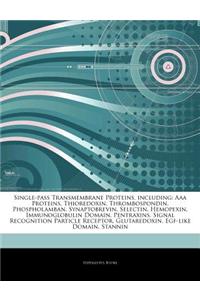 Articles on Single-Pass Transmembrane Proteins, Including