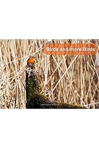 Birds and More Birds 2017