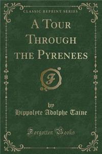 A Tour Through the Pyrenees (Classic Reprint)