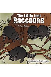 The Little Lost Raccoons