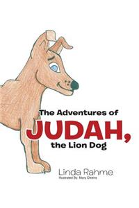 The Adventures of Judah, the Lion Dog