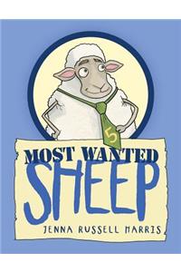 Most Wanted Sheep