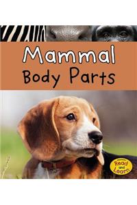 Animal Body Parts Mammal Body Parts