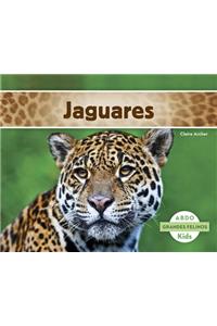 Jaguares