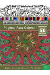 Libros Para Colorear Para Adultos