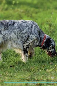 English Setter Affirmations Workbook English Setter Presents