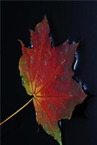 Autumn Leaf in Rain Journal