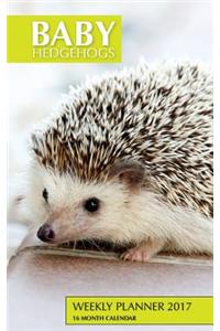 Baby Hedgehogs Weekly Planner 2017