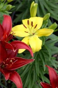 Journal Flowers Pretty Red Yellow Lilies