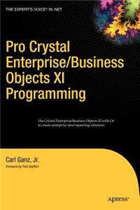 Pro Crystal Enterprise / Businessobjects XI Programming