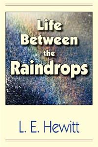 Life Between the Raindrops