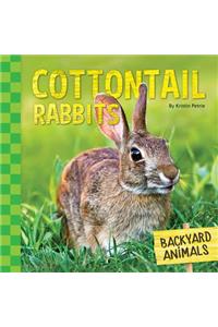 Cottontail Rabbits