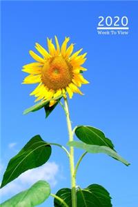 A5 2020 Diary Week To View Paperback Cover With Alternative Design -