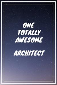 One Totally Awesome Architect