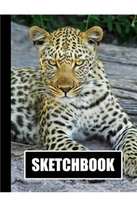 Sketchbook
