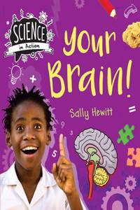 Human Body: Your Brain