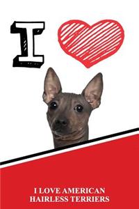 I Love American Hairless Terriers