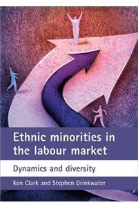 Ethnic minorities in the labour market: Dynamics and Diversity