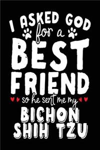 I Asked God For A Best Friend So He Sent Me My Bichon Shih Tzu