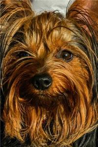 Hand Held Yorkshire Terrier Dog Journal