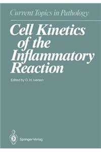 Cell Kinetics of the Inflammatory Reaction