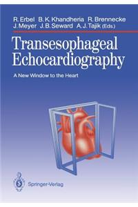 Transesophageal Echocardiography