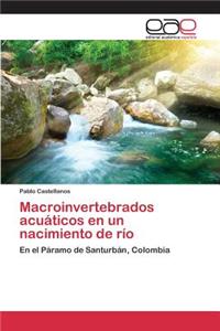 Macroinvertebrados acuáticos en un nacimiento de río