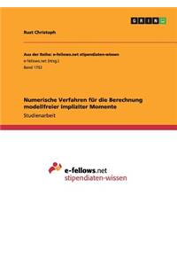 Numerische Verfahren für die Berechnung modellfreier impliziter Momente