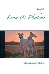 Luna & Phalène