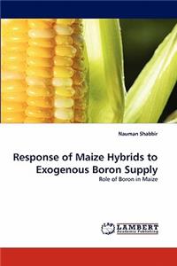 Response of Maize Hybrids to Exogenous Boron Supply