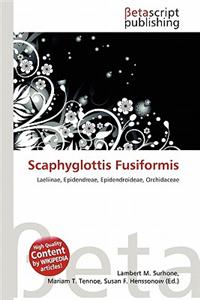 Scaphyglottis Fusiformis