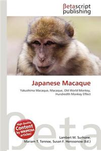 Japanese Macaque