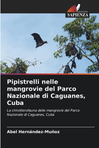 Pipistrelli nelle mangrovie del Parco Nazionale di Caguanes, Cuba