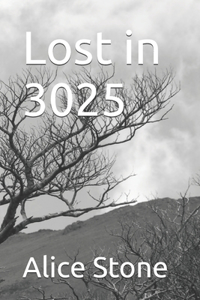 Lost in 3025
