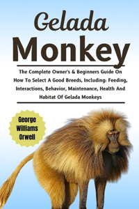 Gelada monkey