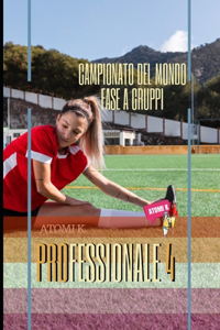 Professionale IV