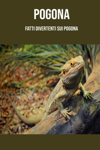 Pogona