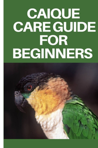 Caigue Care Guide for Beginners