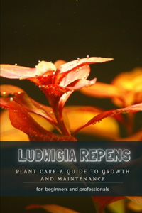 Ludwigia Repens