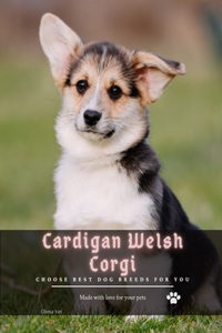 Cardigan Welsh Corgi